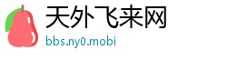 天外飞来网